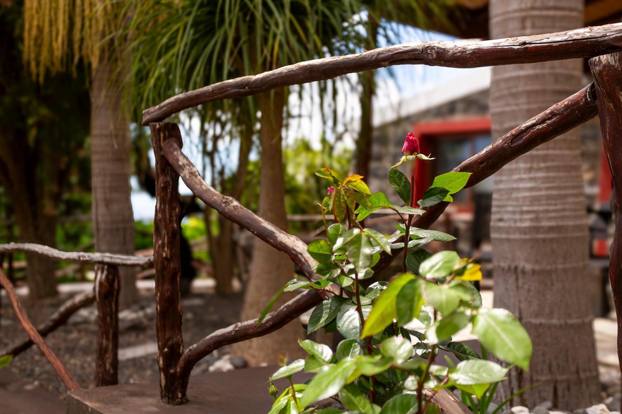 Villa Refugio Do Lourinho Funchal  Exterior foto